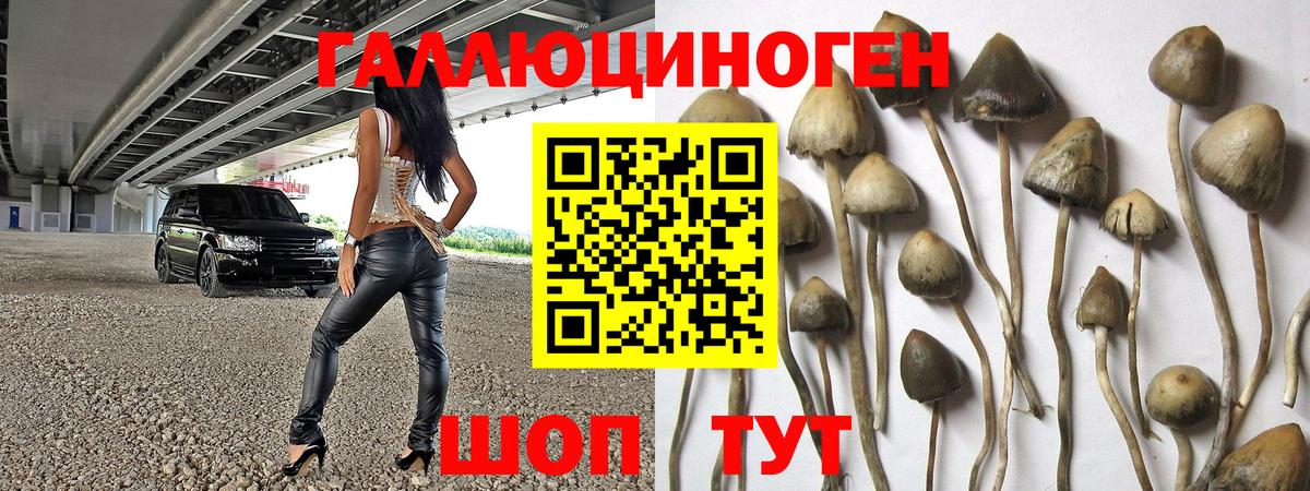 Псилоцибиновые грибы Psilocybine cubensis  Псилоцибиновые грибы MAGIC MUSHROOMS  Вход с VPN  Котовск 