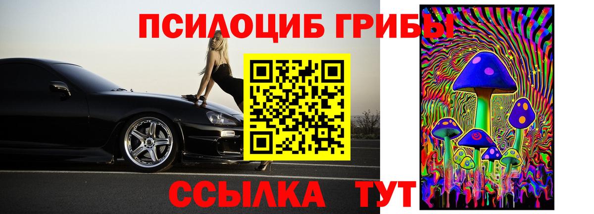Галлюциногенные грибы GOLDEN TEACHER Котовск